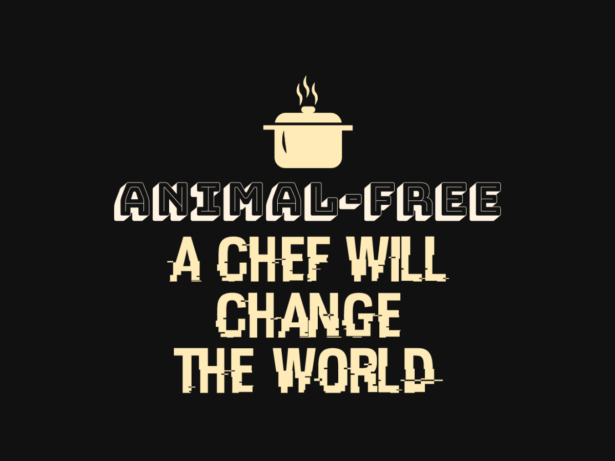 A CHEF WILL CHANGE THE WORLD