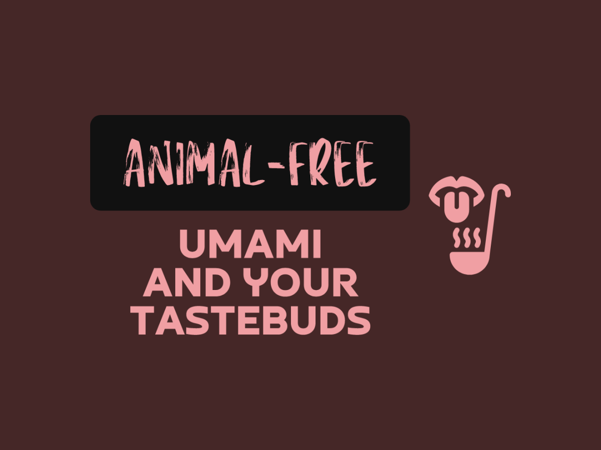 Umami And Your Tastebuds